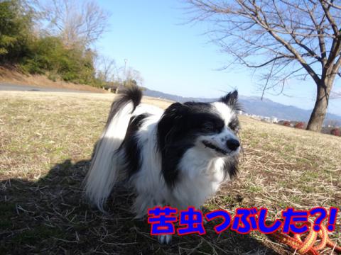 062_20130304212221.jpg