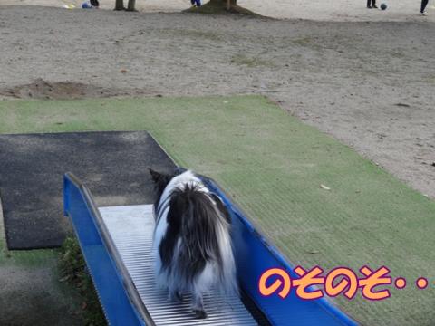 065_20130501220840.jpg