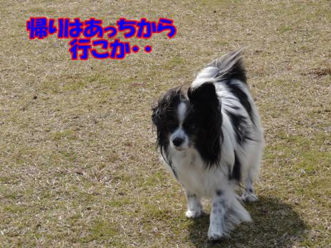 067_20130227213136.jpg