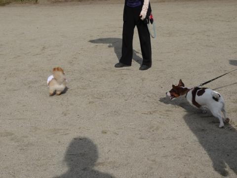 194_20130601215844.jpg