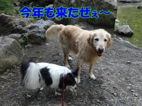 223_20130709154743.jpg