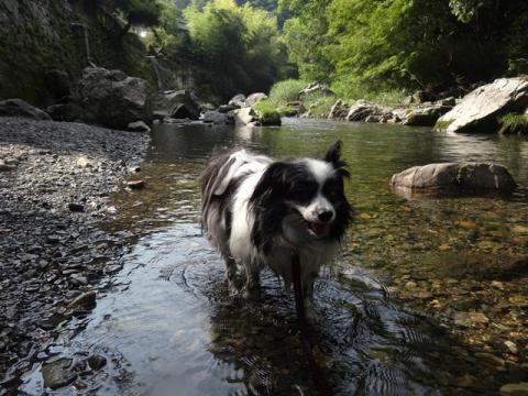 253_20130709154747.jpg