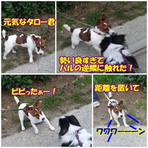 page_20130501220950.jpg