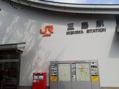20149145.jpg
