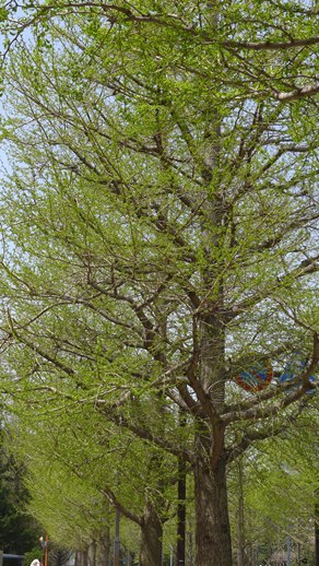 P1000467.jpg