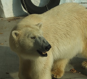 20140924_10.jpg