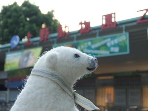 20140924_2.jpg
