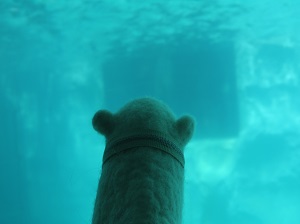 20140924_5.jpg