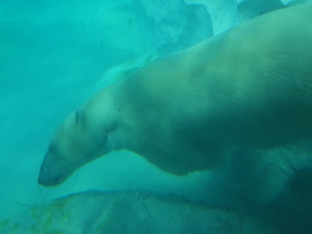 20140924_6.jpg