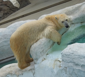 20140924_8.jpg