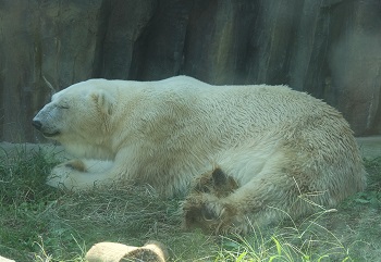 20140924_9.jpg