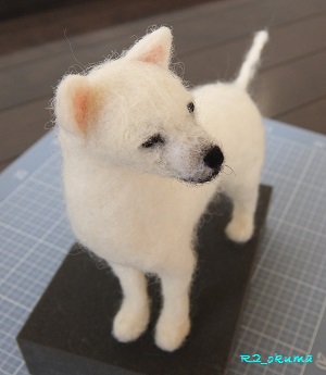 20140929_2.jpg
