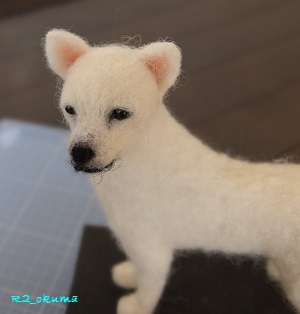 20140929_3.jpg