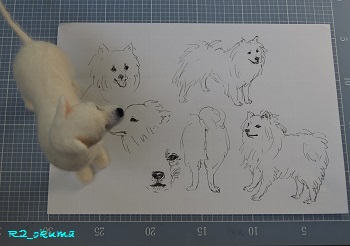 20140929_5.jpg