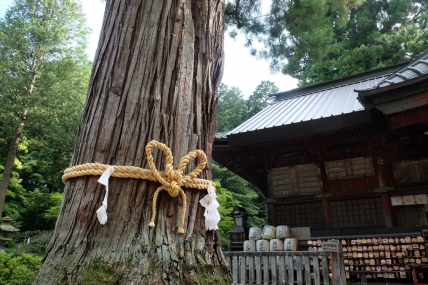 DSCF3873.jpg