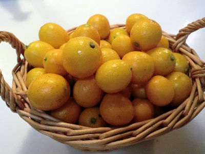 CIMG5943_copy.jpg