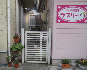 kotirakara.jpg
