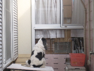 sagyou_20111011080621.jpg