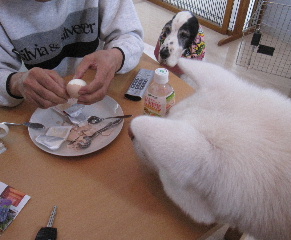 tamago3.jpg