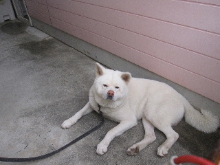 yamakutu.jpg