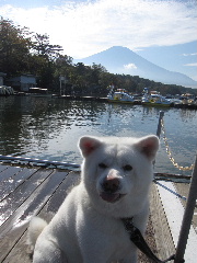 yamanakayama.jpg