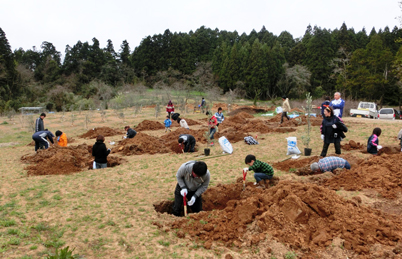 2013042101.jpg