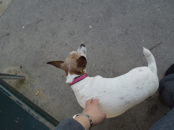 DSCN5032.jpg