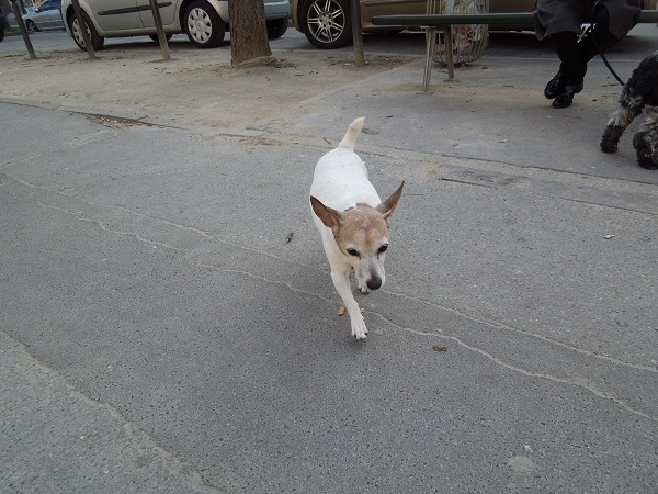 DSCN5033.jpg