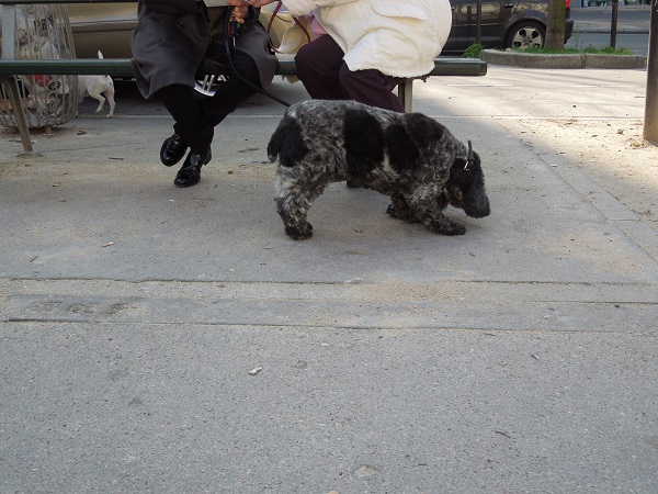 DSCN5034.jpg