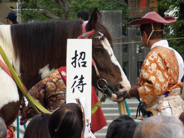 DSCN5827.jpg