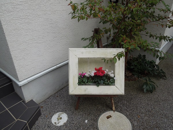 DSCN5870.jpg