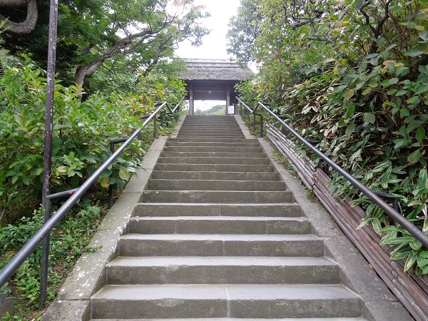 DSCN5878.jpg