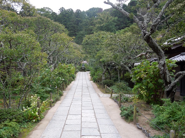 DSCN5882.jpg