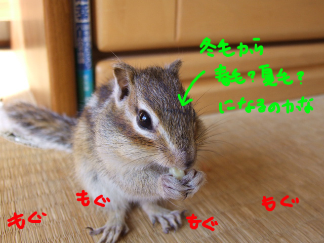 DSCF120221a8912.jpg
