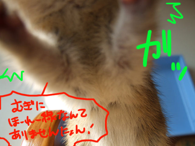 DSCF120221d8597.jpg