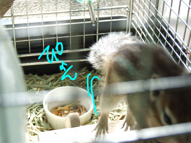 DSCF120224b9205.jpg