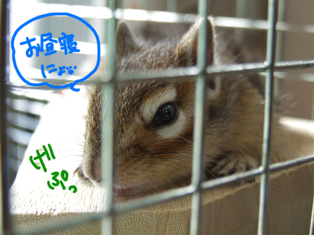 DSCF120224d9208.jpg