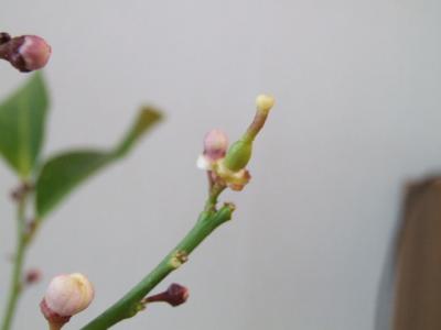 DSCF120225d9223.jpg