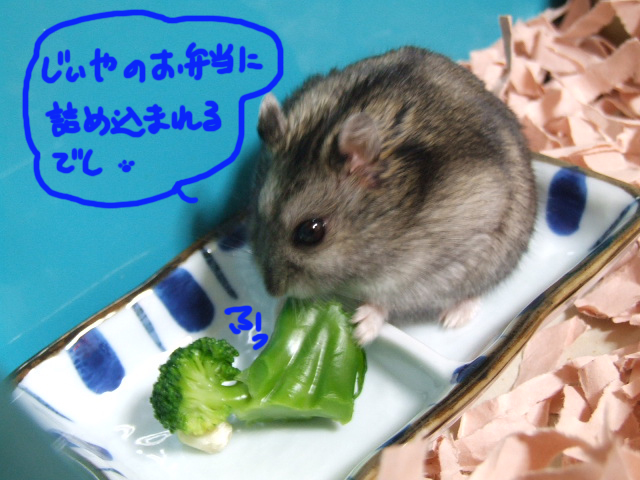 DSCF120228c9301.jpg