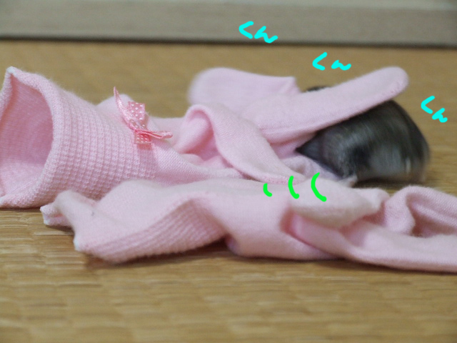 DSCF120309c9164.jpg