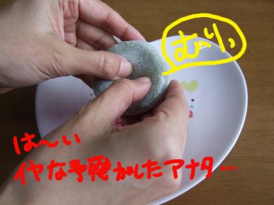 DSCF120310b9283.jpg