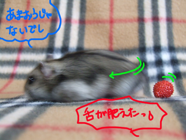 DSCF120315d8493.jpg