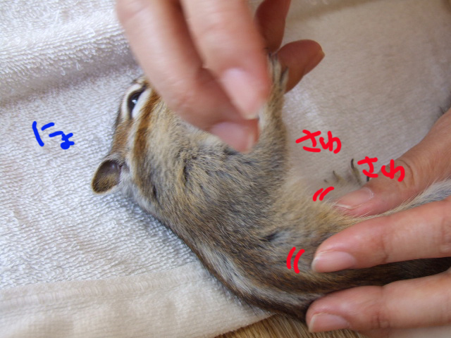 DSCF120316b9490.jpg