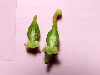 DSCF120331a9763.jpg