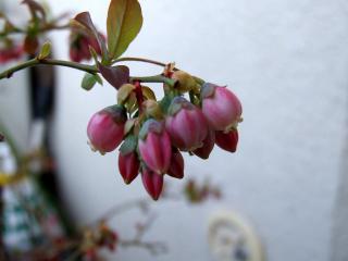 DSCF120407a0098.jpg