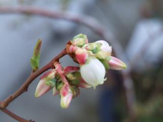 DSCF120407b0102.jpg