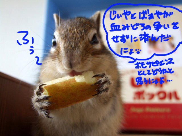DSCF120412d0274.jpg