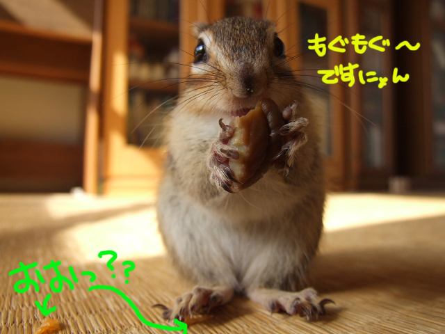 DSCF120413b6999.jpg