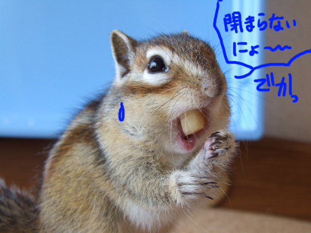 DSCF120423c8942.jpg