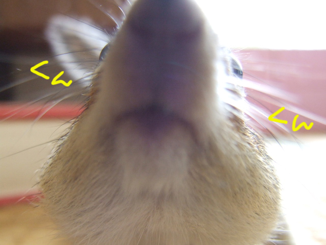 DSCF120424d0478.jpg